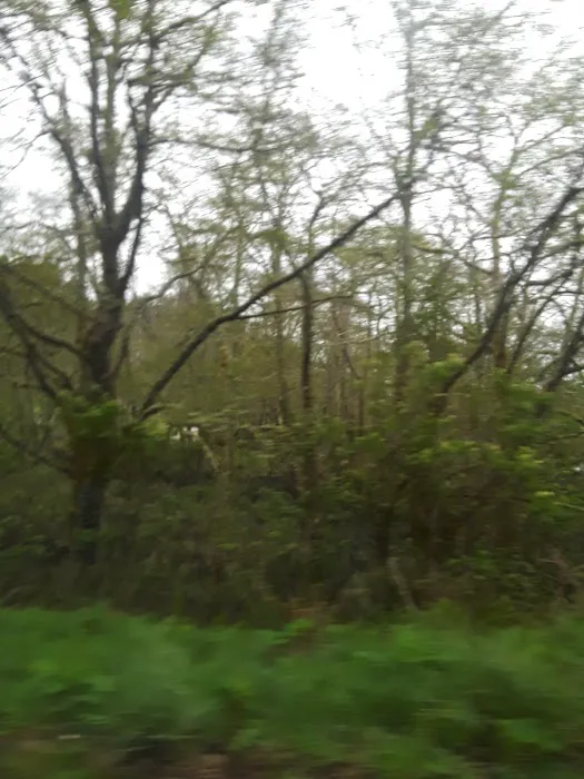 Chinook Trailer Park Picture 1