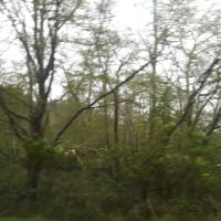 Chinook Trailer Park ico