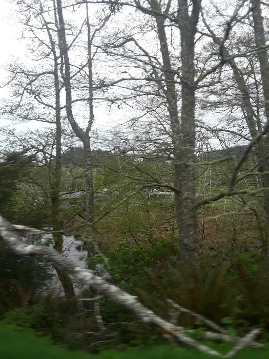 Chinook Trailer Park Picture 6