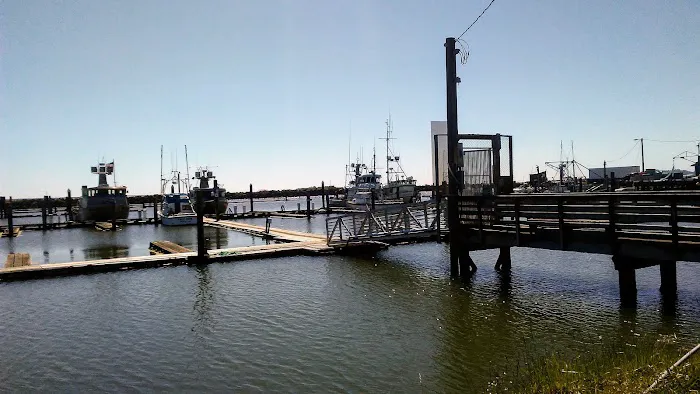 Chinook Trailer Park Picture 7