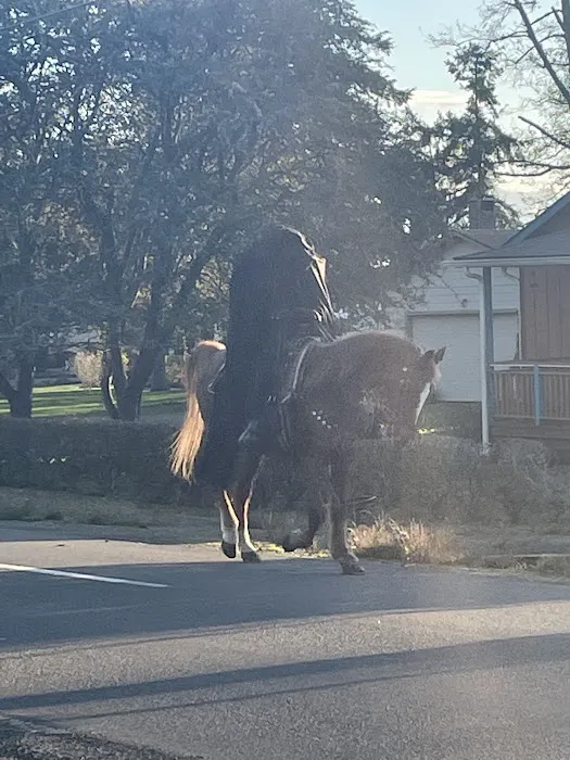 Chinook Trailer Park Picture 2