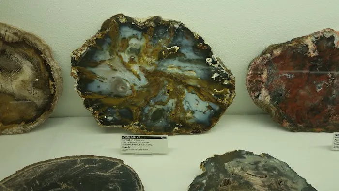 Country Haven Mobile Home Park Picture 4