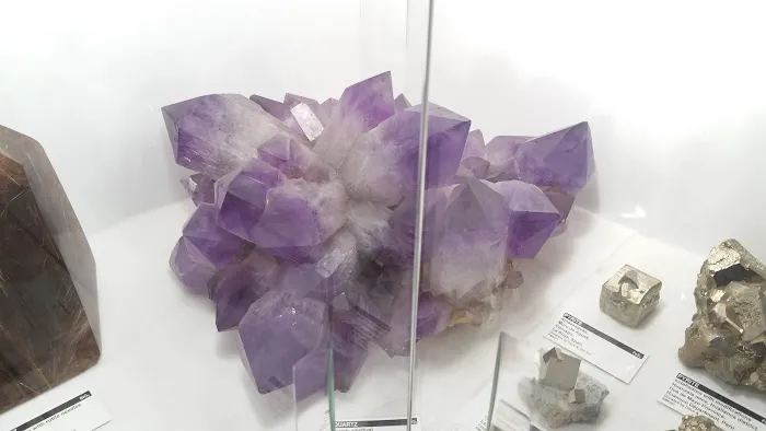 Country Haven Mobile Home Park Picture 7