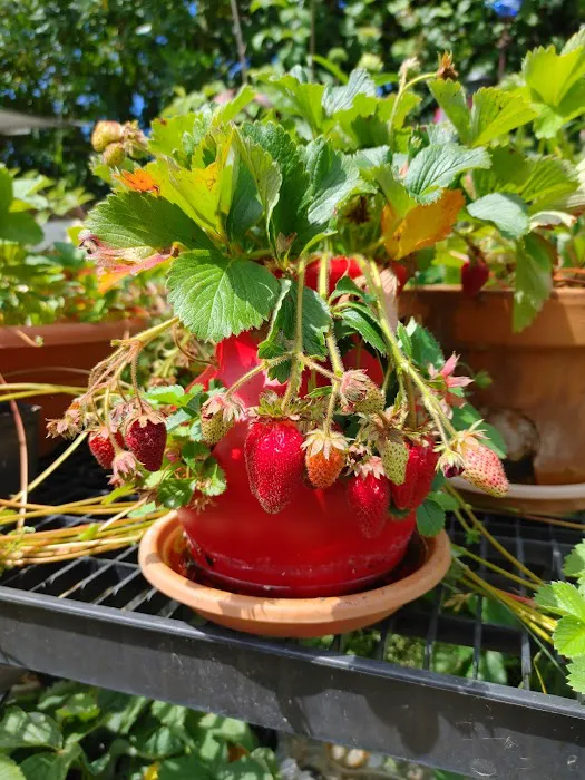 Westview Mobile Estates Picture 7