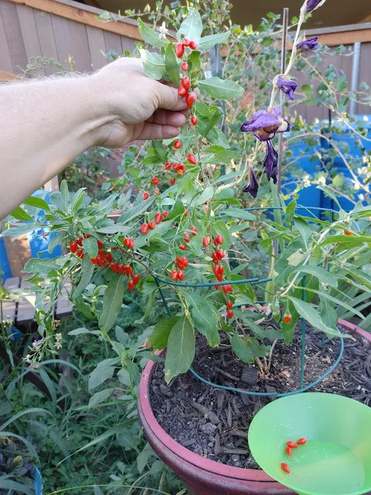 Westview Mobile Estates Picture 5