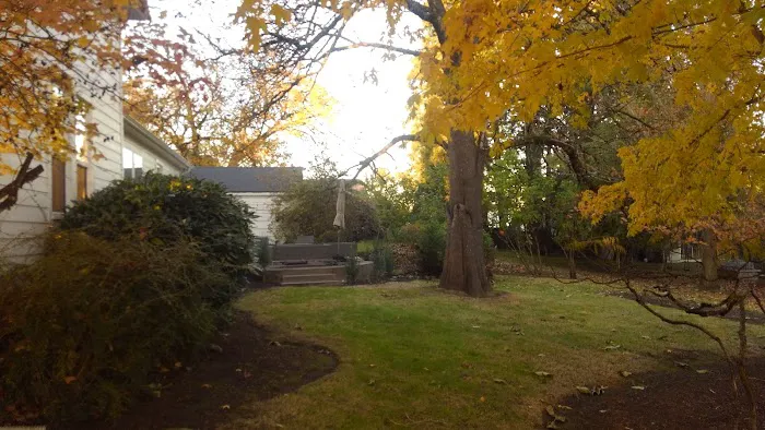 Dundee Hills Estate Picture 5