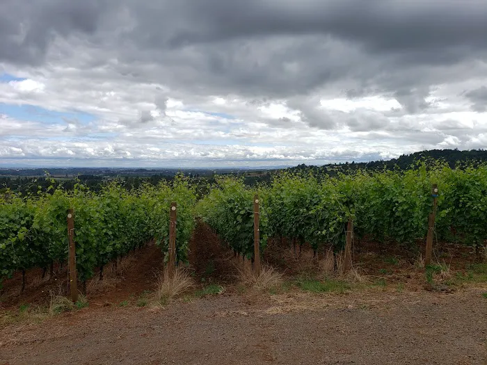 Dundee Hills Estate Picture 9