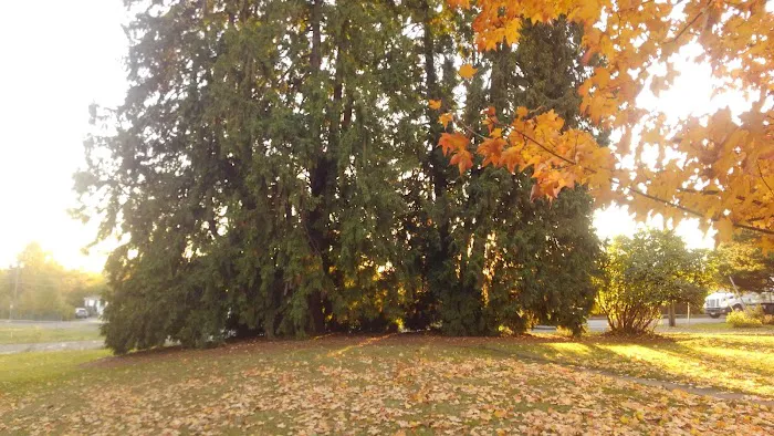 Dundee Hills Estate Picture 3