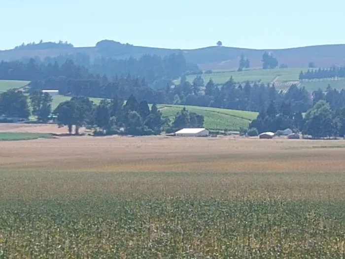 Willamette Wine Country RV Park Picture 2