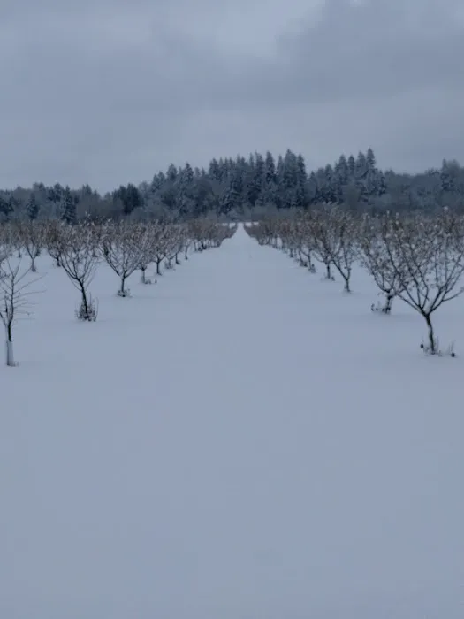 Willamette Wine Country RV Park Picture 1