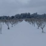 Willamette Wine Country RV Park