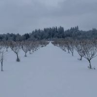 Willamette Wine Country RV Park ico