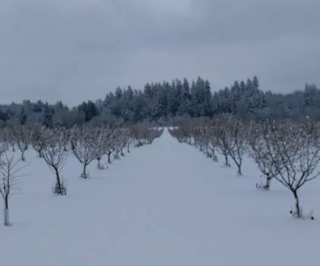 Willamette Wine Country RV Park