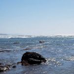 Pioneer Park Mobile Estates