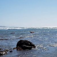 Pioneer Park Mobile Estates ico