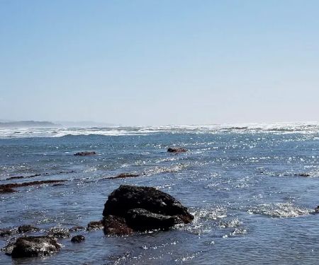 Pioneer Park Mobile Estates