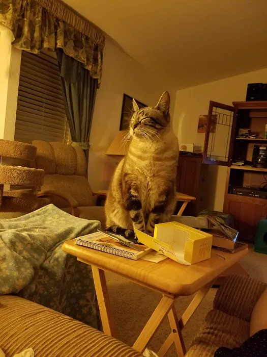 Pioneer Park Mobile Estates Picture 6