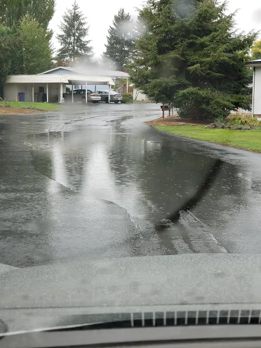 Smoketree MHCLLC Picture 10