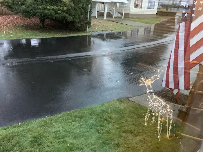 Smoketree MHCLLC Picture 5