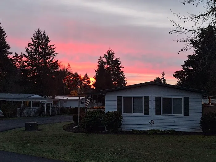 Smoketree MHCLLC Picture 1