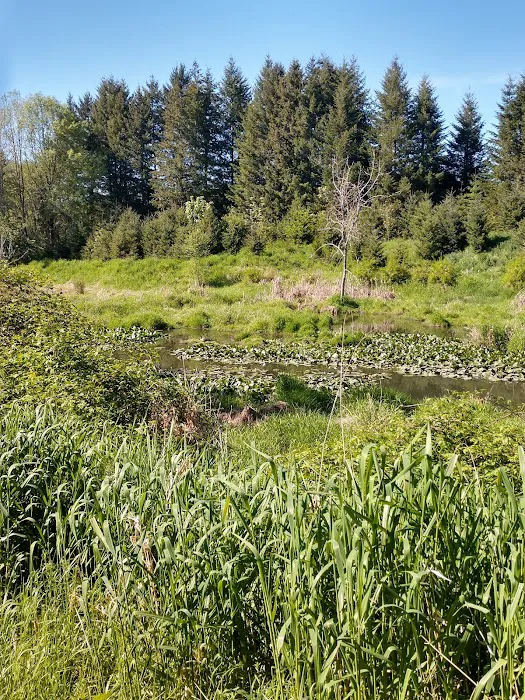 Smoketree MHCLLC Picture 7