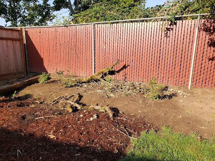 Smoketree MHCLLC Picture 3