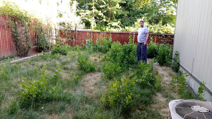 Council Bluffs Manufactured Picture 3