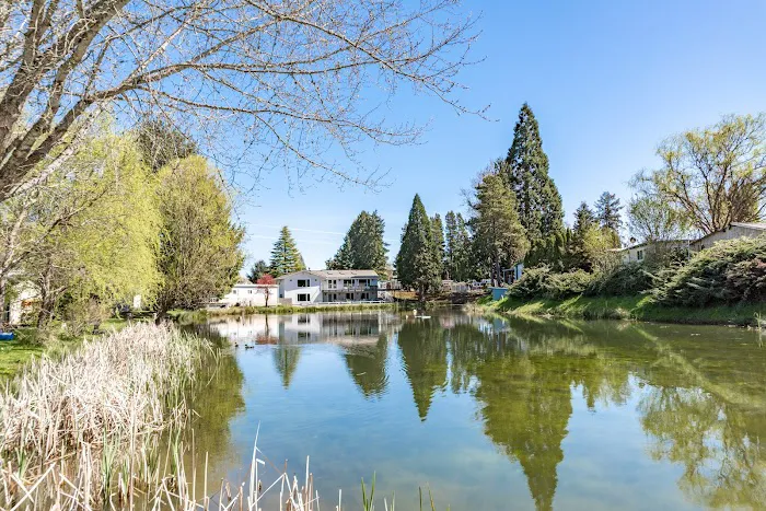 Forest Hills 55+ Lifestyle Manufactured Home Community Picture 3