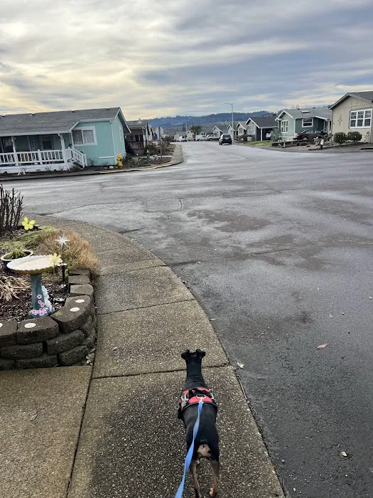 Homestead Community Inc Picture 3