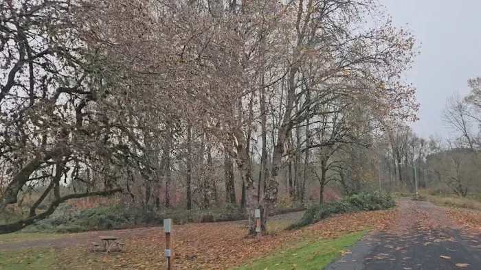 Stan Hedwall RV Park Picture 4