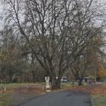 Stan Hedwall RV Park