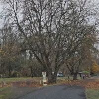 Stan Hedwall RV Park ico