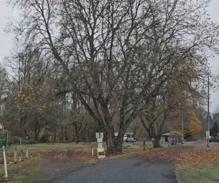 Stan Hedwall RV Park