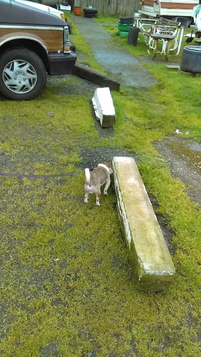 Mt View RV Park Picture 8