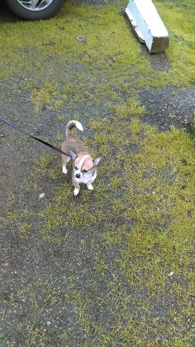 Mt View RV Park Picture 7