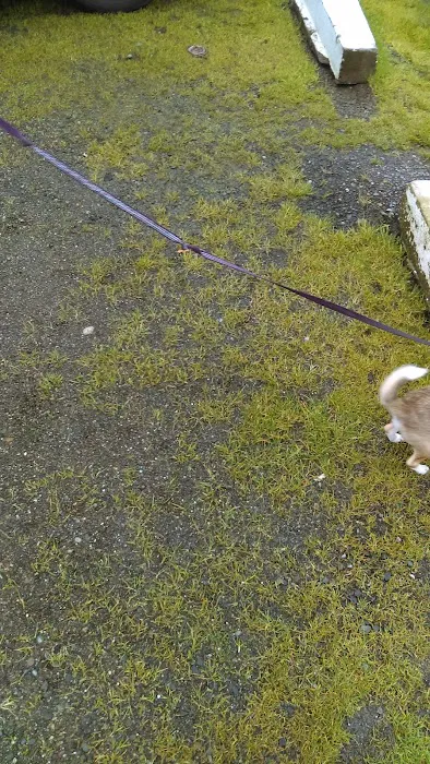 Mt View RV Park Picture 6