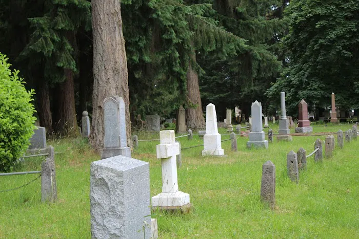 Village Park Picture 3