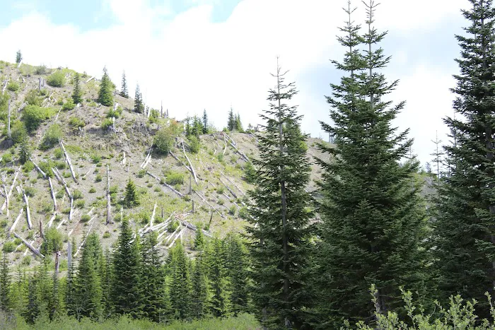 Village Park Picture 1