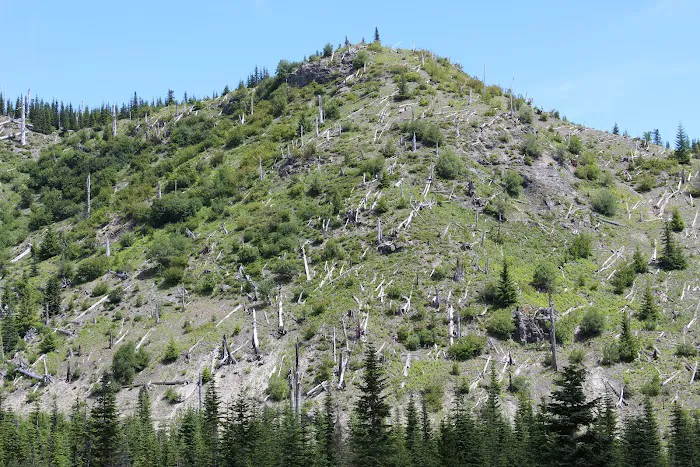 Village Park Picture 2