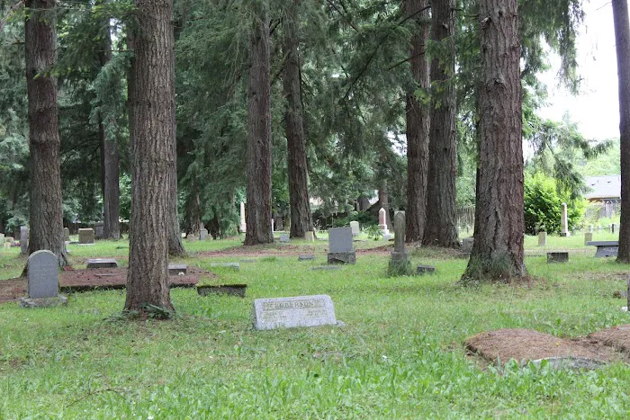 Village Park Picture 6