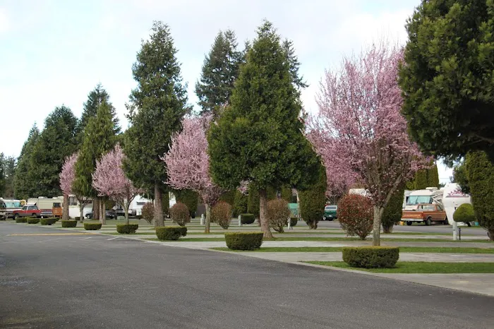 Midway RV Park Centralia Washington Picture 10