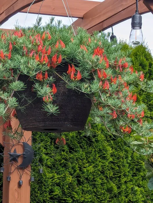 Spring Meadow Estates Picture 4