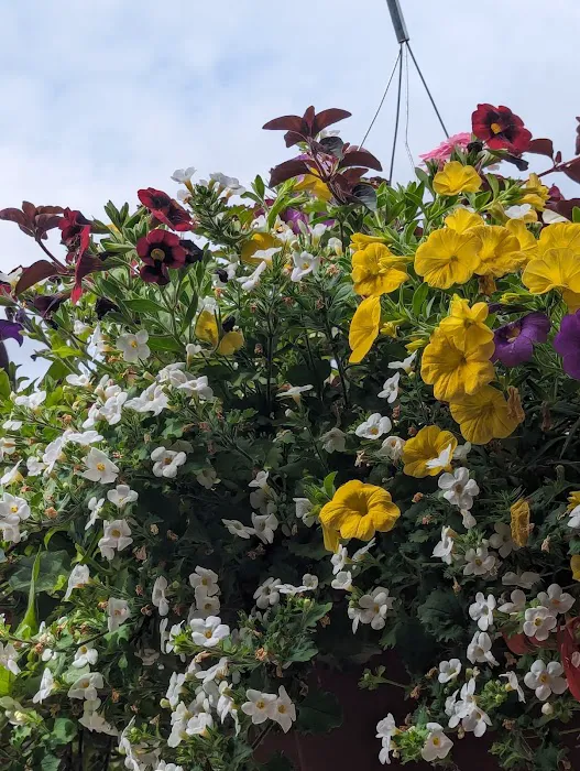 Spring Meadow Estates Picture 5