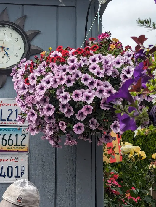 Spring Meadow Estates Picture 6