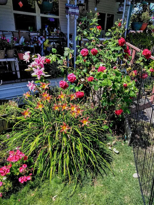 Center Street Mobile Park Picture 9