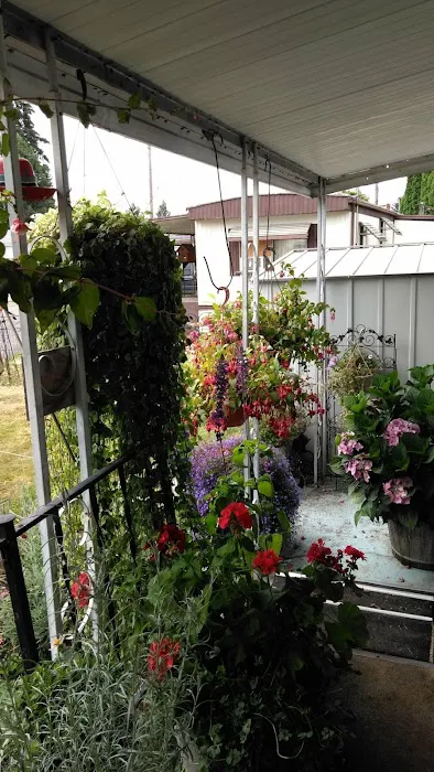 Center Street Mobile Park Picture 6