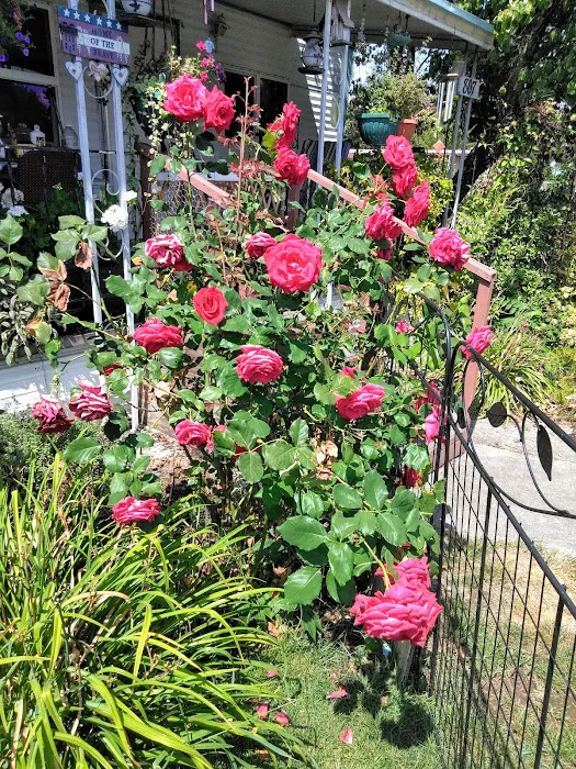 Center Street Mobile Park Picture 3