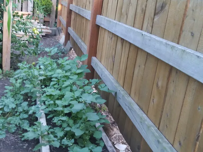 Salem Greene Estates Picture 3