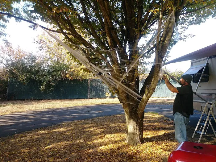 Salem Campground & RV Park Picture 5