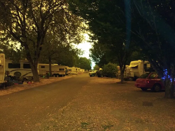 Salem Campground & RV Park Picture 4